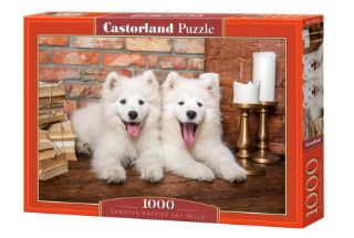 Obrázek z Puzzle dva bílí psi 1000 dílků 